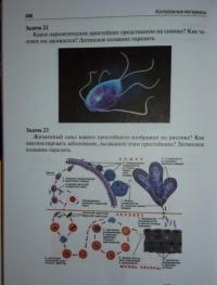 Медицинская паразитология и паразитарные болезни. Протозоозы и гельминтозы. Учебное пособие — Ходжаян Анна Борисовна, Козлов Сергей Сергеевич, Голубева Марина Викторовна #27