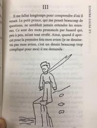 Le Petit Prince. Vol De Nuit — Антуан де Сент-Экзюпери #19