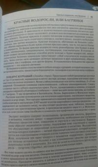 Готовим из дикоросов. Папоротники, водоросли, лишайники и грибы — Михаил Владимирович Вишневский #5