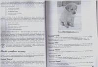 Дрессировка собак для чайников — Джек Волхард, Венди Волхард #10