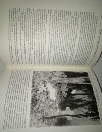 Вечера на хуторе близ Диканьки. Миргород — Николай Васильевич Гоголь #9