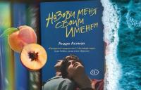 Назови меня своим именем — Андре Асиман #25