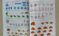 Все об оригами. От простых фигурок до сложных моделей — Сергей Юрьевич Афонькин, Елена Афонькина #5