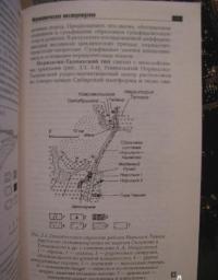 Геология полезных ископаемых — Виктор Иванович Старостин, Петр Алексеевич Игнатов #6