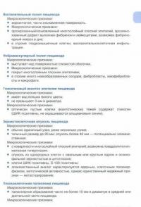 Прижизненная патолого-анатомическая диагностика пищевой системы (класс XI МКБ-10). Клинические рек. — Алексей Владимирович Кононов, Сергей Игоревич Мозговой, Анна Геннадьевна Шиманская #2