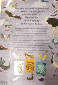 Большая книга птиц — Юваль Зоммер #5