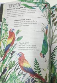 Большая книга птиц — Юваль Зоммер #8