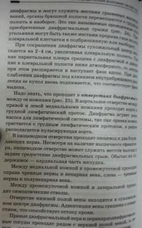 Топографическая анатомия. Учебное пособие — Елена Викторовна Чаплыгина, Виктор Иосифович Домбровский, Ольга Антониновна Каплунова, Александр Андреевич Швырев #5