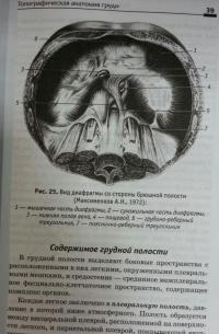 Топографическая анатомия. Учебное пособие — Елена Викторовна Чаплыгина, Виктор Иосифович Домбровский, Ольга Антониновна Каплунова, Александр Андреевич Швырев #6