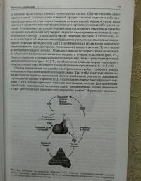 Патофизиология эндокринной системы — Вильям М. Кэттайл, Рональд А. Арки #7