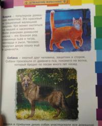 Первая энциклопедия животных для детей — Юлия Валентиновна Феданова #7