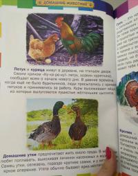 Первая энциклопедия животных для детей — Юлия Валентиновна Феданова #8