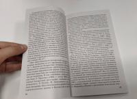Белорусские земли в советско-польских отношениях. Разменная карта в противостоянии двух держав. 1918 — Дарья Александровна Короткова #4
