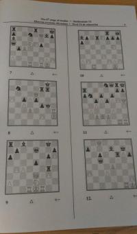 Учебник шахматных комбинаций. Том 2 — Сергей Иващенко #7