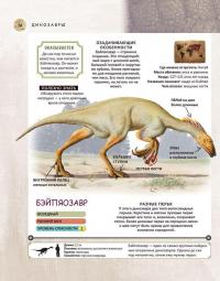 Динозавры. Полная энциклопедия — Роб Колсон #7