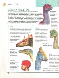 Динозавры. Полная энциклопедия — Роб Колсон #9