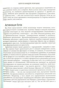 Боги в каждом мужчине. Архетипы, управляющие жизнью мужчин — Джин Шинода Болен #10