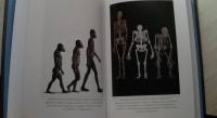 Почти человек. Как открытие Homo naledi изменило нашу историю — Ли Бергер, Джон Хокс #7