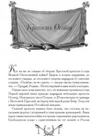 Великая и забытая. Рассказы для детей о Первой мировой войне — Владимир Карлович Дмитриев #4