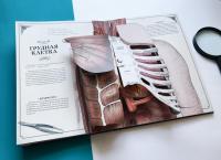 Тело человека. Интерактивная книга-панорама — Ричард Уолкер #7