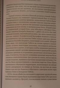 Золотая черепаха. Мир тибетской геомантии (саче) — Валентин Леонидович Огудин #3