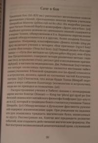 Золотая черепаха. Мир тибетской геомантии (саче) — Валентин Леонидович Огудин #4