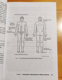 Анатомия и физиология для чайников — Эрин Одья, Мэгги Норрис #6