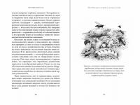 Эусоциальность. Люди, муравьи, голые землекопы и другие общественные животные — Э. Уилсон #4