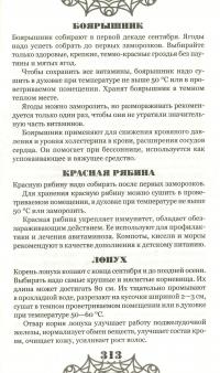 Бабушкина домашняя книга #13
