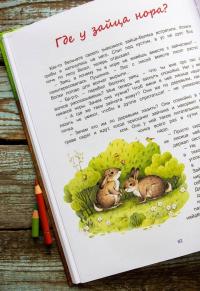Лесные секреты — Марина Сергеевна Дороченкова, Анна Николаевна Кравчук #8