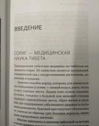 Искусство благой кармы. Расширенное издание с иллюстрациями — Нида Ченагцанг #4