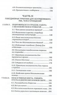 Осознанное решение. Эффективная практика для ежедневных проблем — Рональд Зигель #5