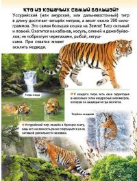 Удивительная энциклопедия о животных в вопросах и ответах — Владимир Верховень #13