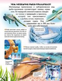 Удивительная энциклопедия о животных в вопросах и ответах — Владимир Верховень #16