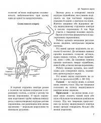 Новий довідник. Українська мова — Мария Ра­ди­шев­ская #13