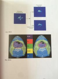 Основы клинической радиобиологии — Майкл С. Джойнер, дер Когель Олберт Дж. Ван #8