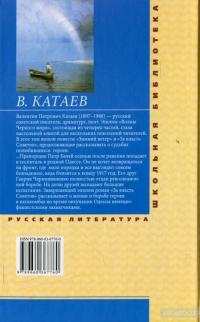 Волны Черного моря. В 2 томах. Том 2. Зимний ветер. За власть Советов — Валентин Катаєв #2