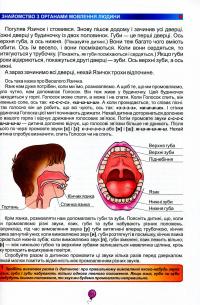 Домашня логопедія — Василий Федиенко, Алла Журавлева #6