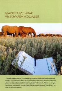 Жизнь лошадей в непридуманных историях и картинках — Наталья Николаевна Спасская, Нина Владимировна Французова, Андрей Викторович Летаров #1