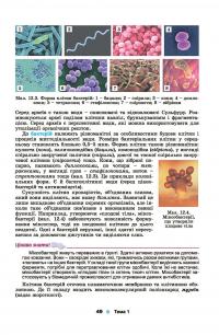 Біологія. Підручник. 10 клас — Лариса Остапченко #3