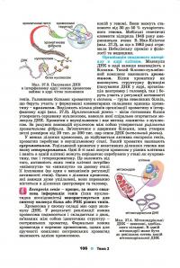 Біологія. Підручник. 10 клас — Лариса Остапченко #5