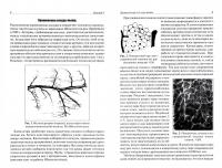 Анатомия и физиология капилляров — Август Крог #1