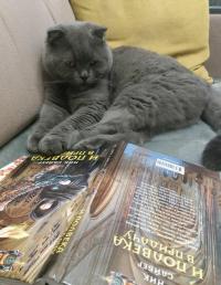 И полвека в придачу — Ник Сайбер #2