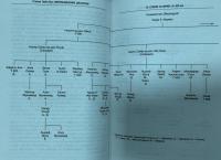 Мусульманские династии. Хронологические и генеалогические таблицы с историческими введениями — Стэнли Лейн-Пул #6