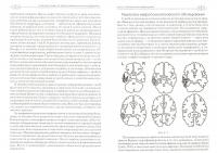Клинические исследования нейропсихоанализе. Введение в глубинную нейропсихологию — Карен Каплан-Солмз, Марк Солмз #1