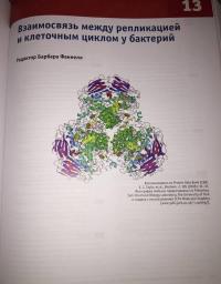 Гены по Льюину — Джоселин Кребс, Стивен Килпатрик, Эллиотт Голдштейн #6