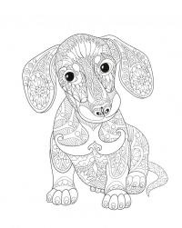 Dogs. Творческая раскраска симпатичных собачек — Линда Тейлор #1