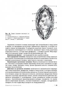 Медицинская паразитология. Учебное пособие — Галина Ивановна Мяндина, Екатерина Владимировна Тарасенко #9