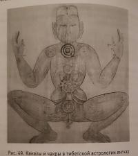 Тонкая анатомия в тибетской медицине, йоге и медит — Нида Ченагцанг #5