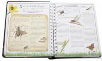 Boys’ Book. Підручник відважного мандрівника — Мишель Лекре, Селия Галле, Клеманс Ру де Люз #4